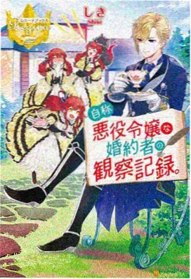 魔法少女奈叶漫画A's篇暗之书